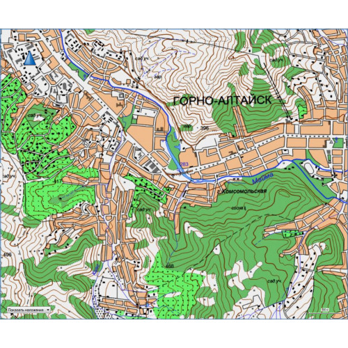 Алтай (Горно-Алтайск) топографическая карта для Garmin v2.0 (IMG)